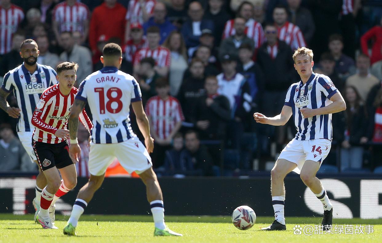 开云体育网站-沃特福德取得胜利，挽回连败势头的简单介绍
