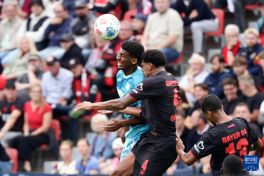 霍芬海姆主场不敌对手，遭遇连败