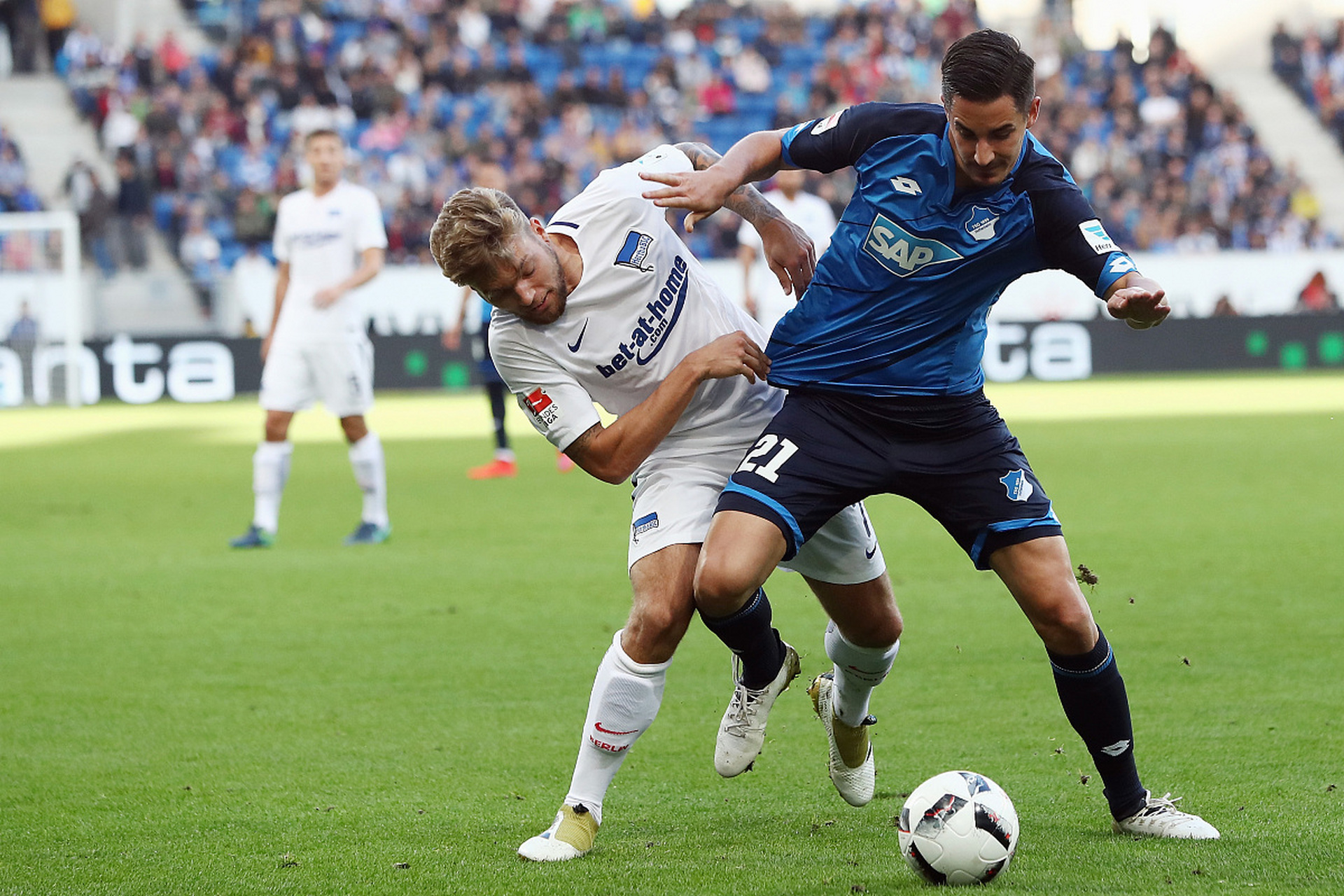 开云体育在线-关于霍芬海姆球迷狂欢，庆祝胜利时刻的信息